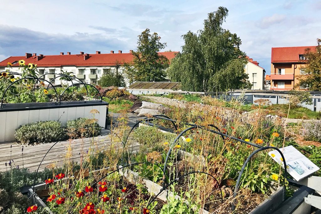 Rooftop garden with colorful flowers and herbs, overlooking buildings and trees under a partly cloudy sky.