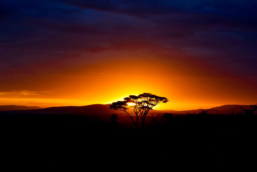 Sunset over a horizon with silhouetted trees, casting a warm orange glow against darkening clouds and distant mountains.