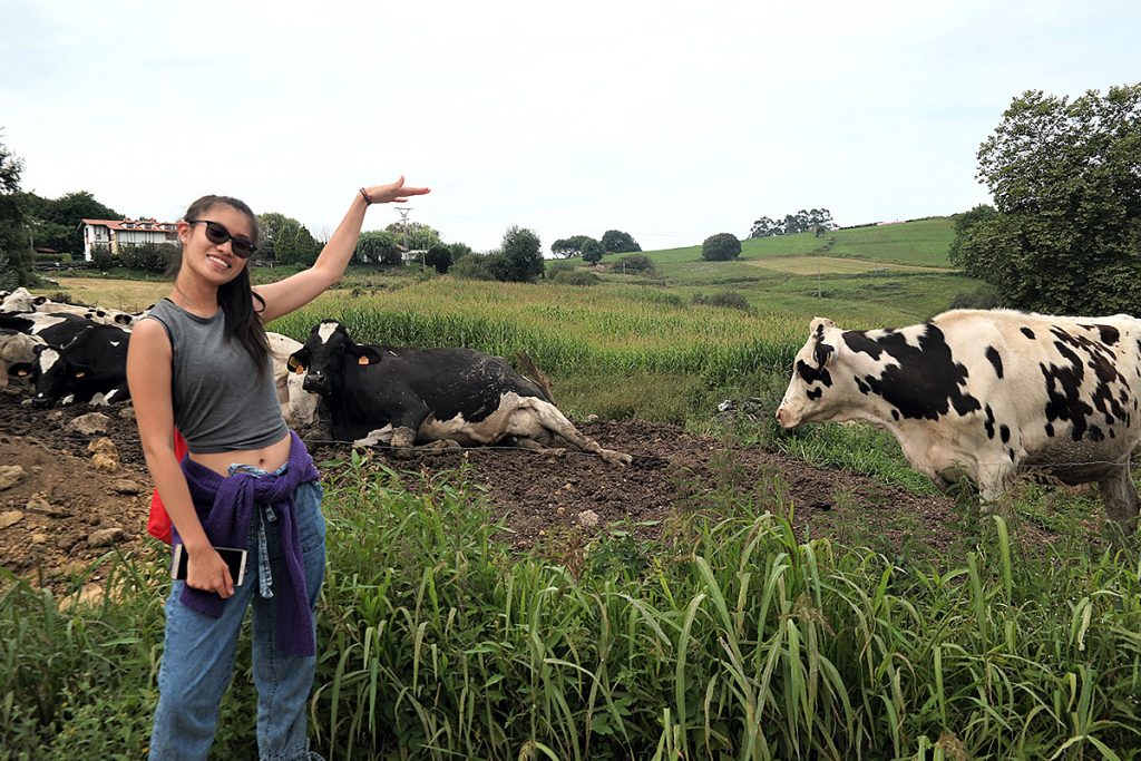 A young woman stands in a grassy field, gesturing playfully towards cows resting nearby in a rural landscape.